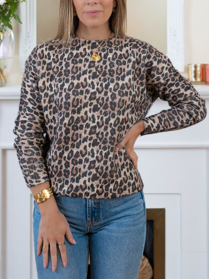 Lisa Leopard Jumper